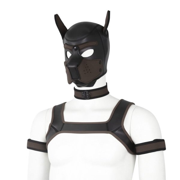 (image for) Dog Hood Bondage Kit