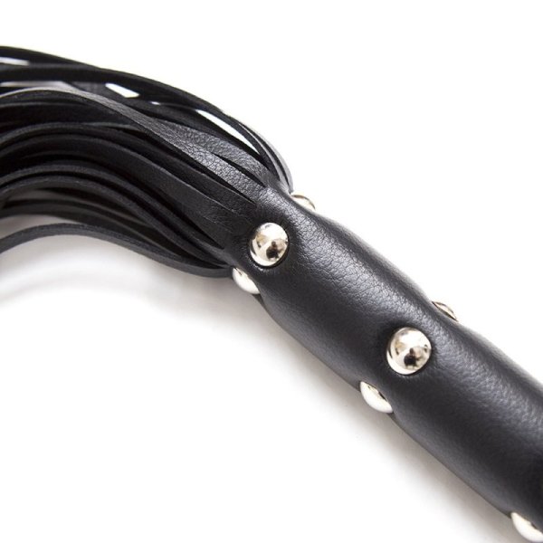 (image for) Leather Whip