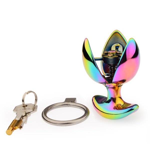 (image for) Luxury Heavy Anal Expander Trainer