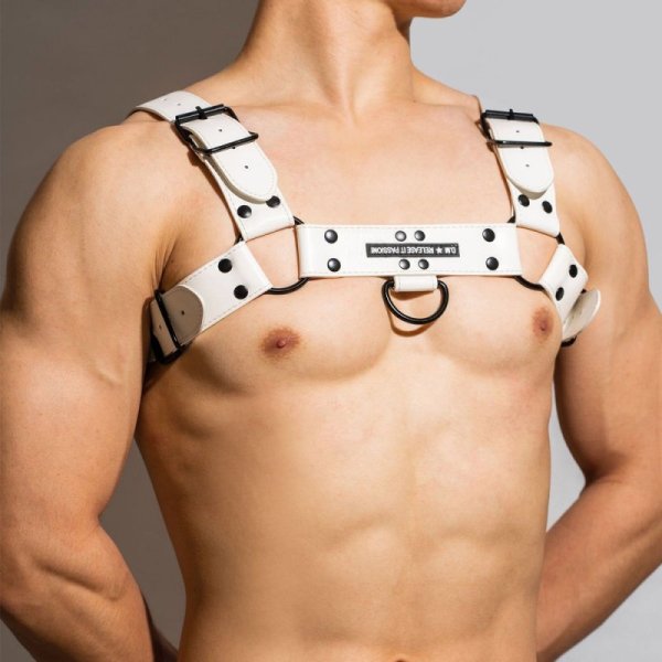 (image for) DM Buckle Leather Chest Harness