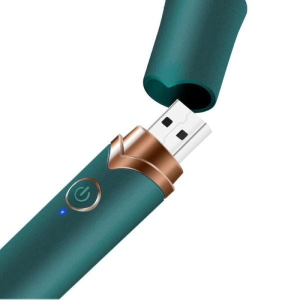 (image for) Makeup Brush Vibrator