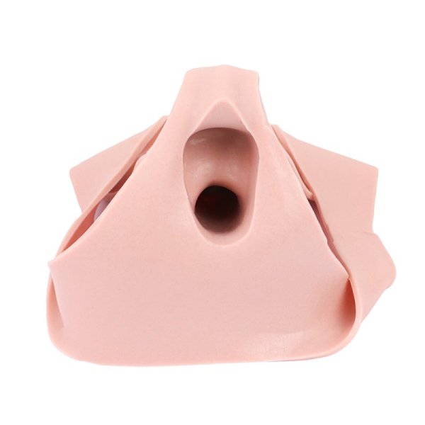 (image for) Lifelike Cock Sleeve Underwear