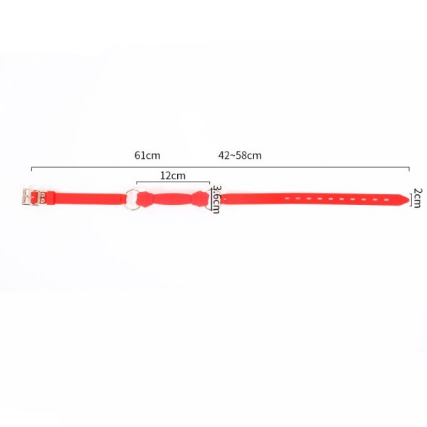 (image for) Silicone Bone Gag with Silicone Strap