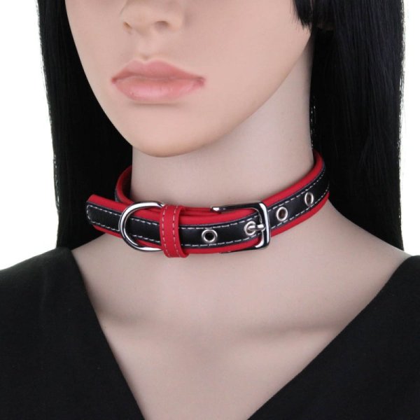 (image for) Padded Contrast Leather Collars