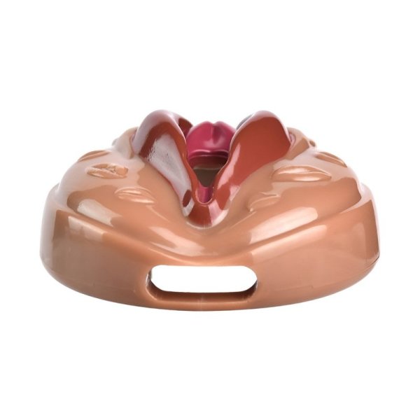 (image for) Sissy PussyChastity Cock Cage