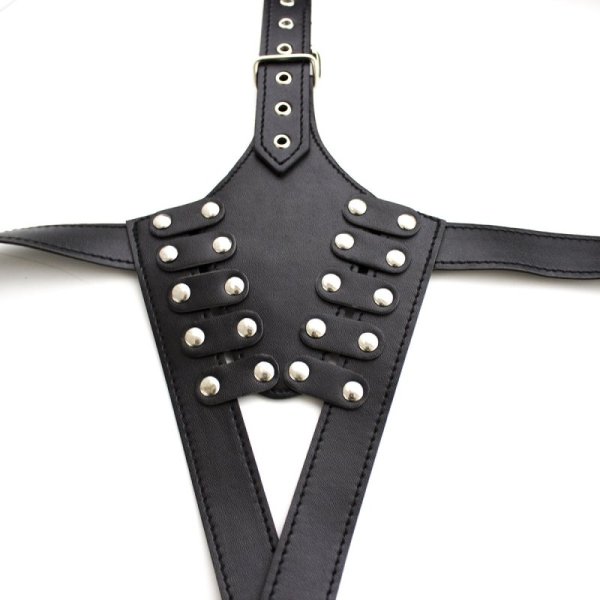 (image for) Teddy Bra Waist Belt Strap Corset Bustier