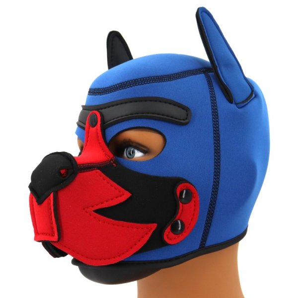 (image for) Blue Puppy Hood