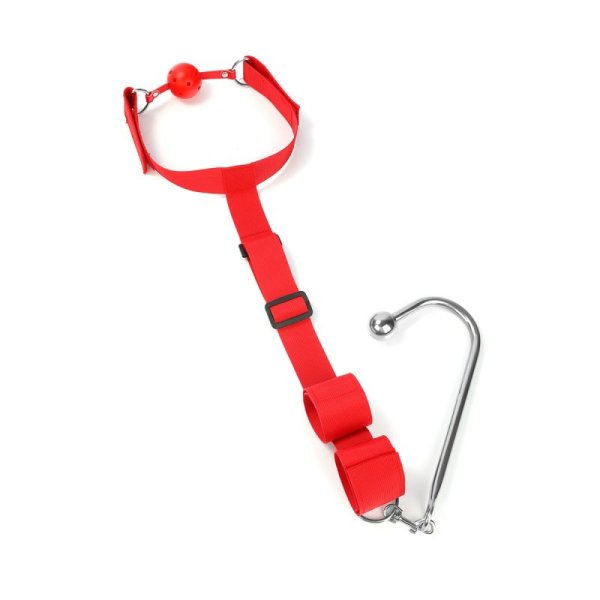 (image for) Back Restraints With Anal Hook