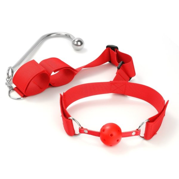 (image for) Back Restraints With Anal Hook