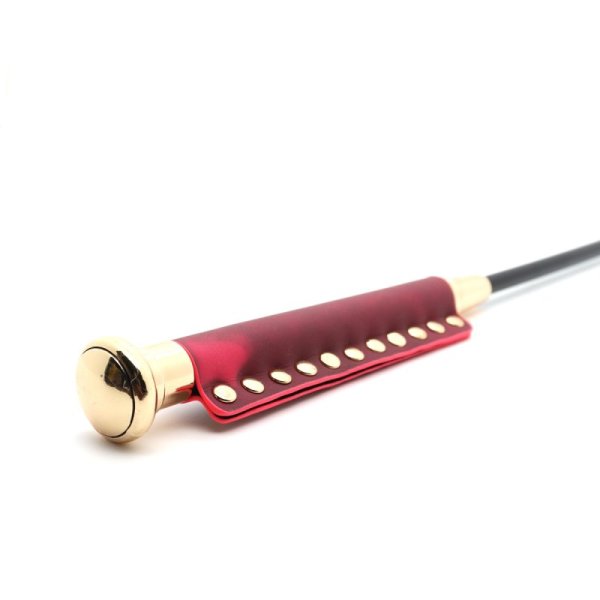 (image for) Thermochromic Butterfly Spanking Paddle