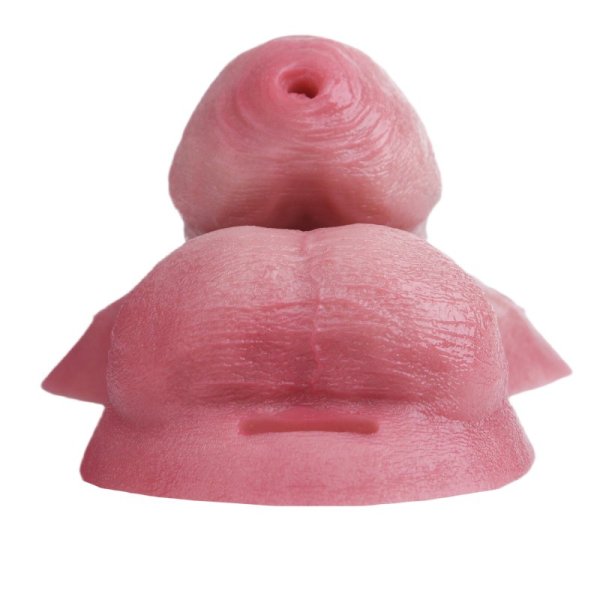 (image for) Baby Carrot Strap on Ftm Packer - B