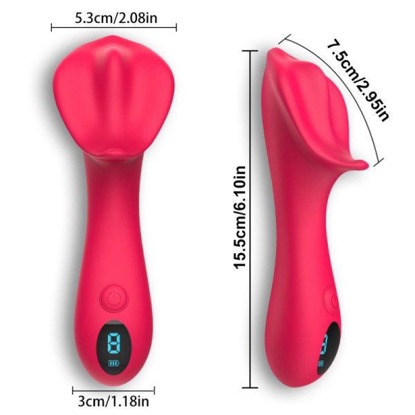 (image for) Clitoris Vagina Labia Vibrator