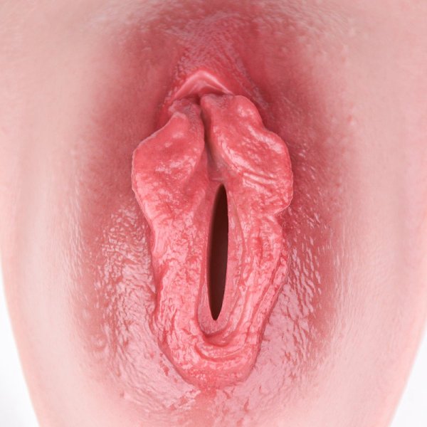 (image for) Femboy Wearable Vagina Pants - E