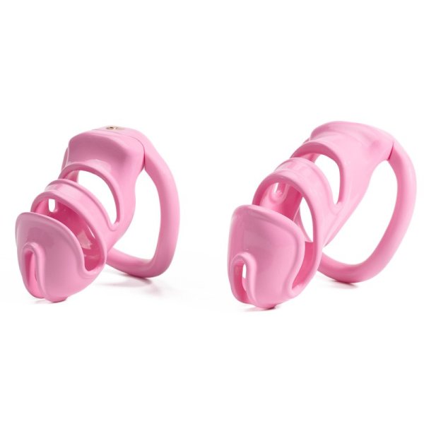 (image for) Breathable Resin Cage with 4 Rings and Keys