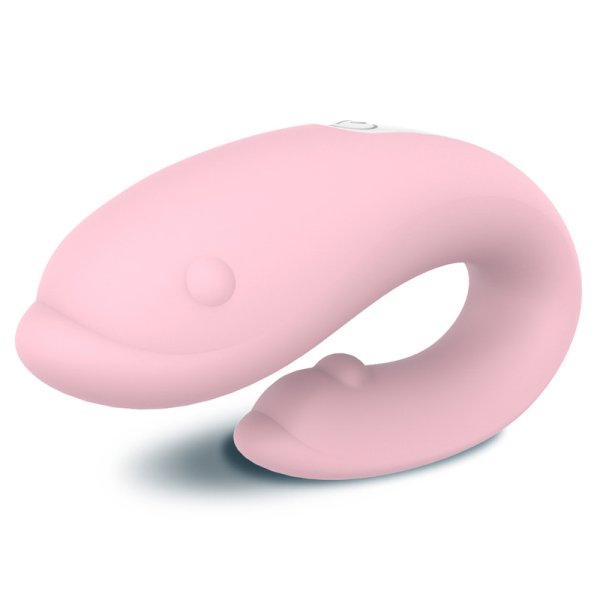 (image for) Winter Dolphin We Vibe