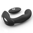 (image for) Aaron Prostate Massager