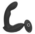 (image for) Aaron Prostate Massager