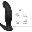 (image for) Wandering Prostate Massage With Cock Ring