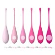 (image for) Eggs Ben Wa Balls 6 in 1 Set