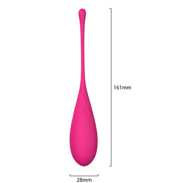 (image for) Eggs Ben Wa Balls 6 in 1 Set