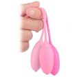 (image for) Deluxe Kegel Exercise System