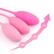 (image for) Deluxe Kegel Exercise System