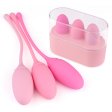 (image for) Deluxe Kegel Exercise System