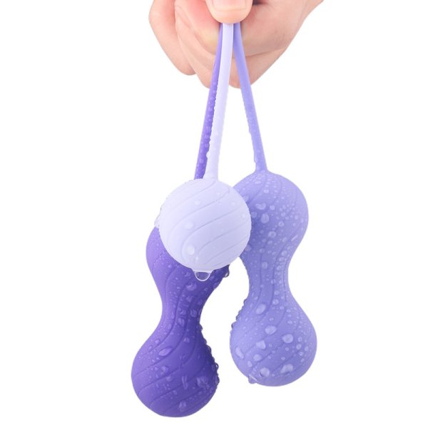 (image for) Alice Kegel Balls System