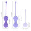 (image for) Alice Kegel Balls System