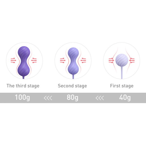(image for) Alice Kegel Balls System