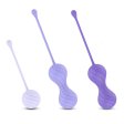 (image for) Alice Kegel Balls System