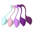 (image for) Cindy Kegel Exerciser Kit