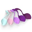 (image for) Cindy Kegel Exerciser Kit