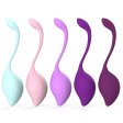 (image for) Cindy Kegel Exerciser Kit