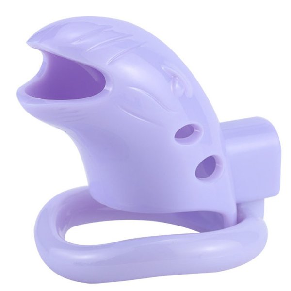(image for) Chastity Cage