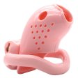 (image for) Goldfish Chastity Cocklock