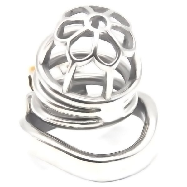 (image for) Plum Steel 2.4" Cock Cage