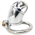 (image for) Steel Cock Cage with Lock