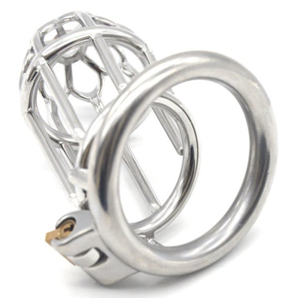 (image for) Plum Blossom Chastity Device