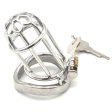 (image for) Plum Blossom Bend Ring Chastity Device