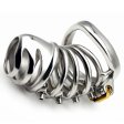 (image for) Bolted Chastity Cage With Spikes