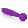 (image for) Alina AV Vibrator