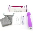 (image for) Alina AV Vibrator