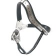 (image for) EMCC Hollow Cage Chastity Belt With Ass Hole