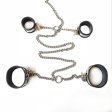 (image for) Rapture 6 Piece Steel Band Bondage Set