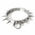 (image for) Spiked Stainless Steel Bondage Kit