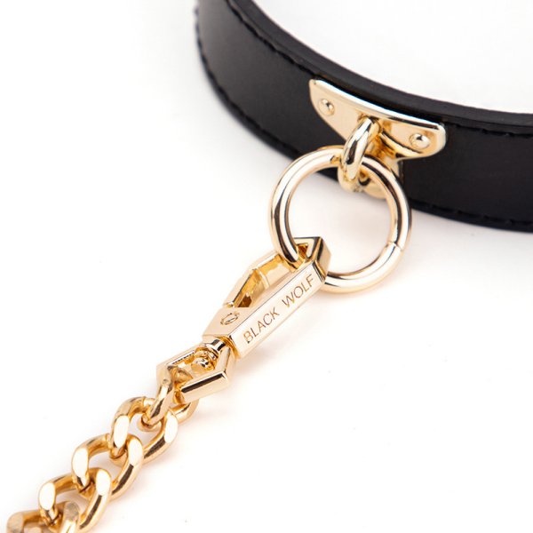 (image for) Golden Chain Lead Collar