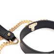 (image for) Golden Chain Lead Collar