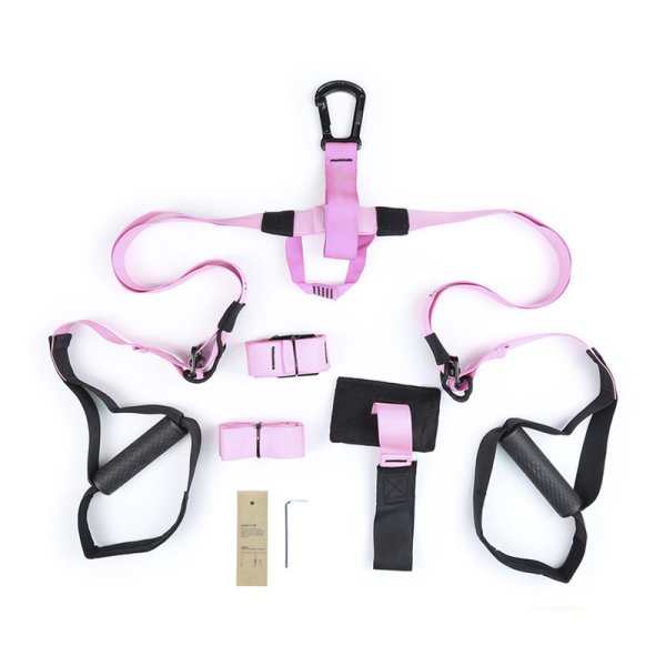 (image for) Over the Door Restraint Set