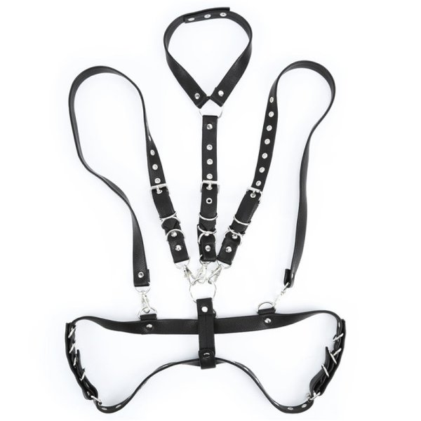 (image for) Body Harness with Hook